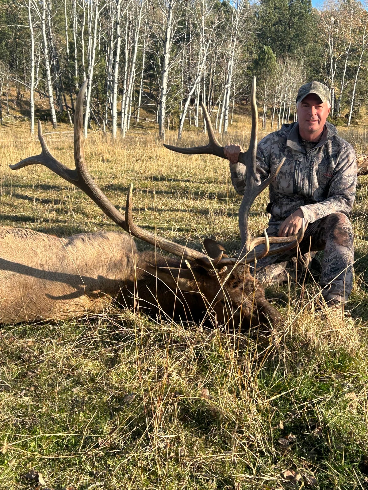 Marty Jackley kneeling behind a bull elk in an aspen meadow